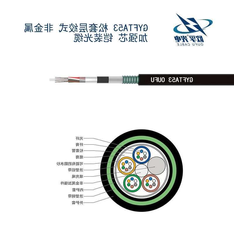 安康市GYFTA53光缆