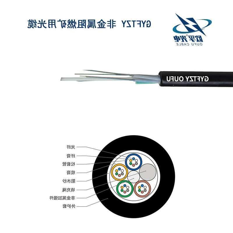 南通市GYFTZY光缆